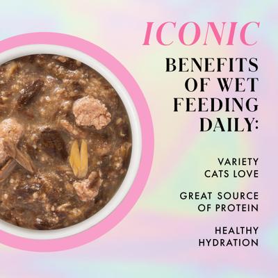 Duck & Salmon Dinner in Gravy Grain-Free Shredded Wet Cat Food, 2.47-oz pouch, case of 12