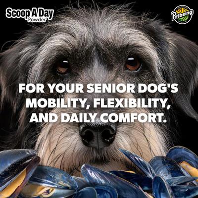 Scoop-A-Day Mobility, Muscle & Joint Support Powder Supplement for Senior Dogs, 4.2-oz bottle
