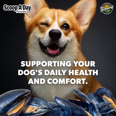 Scoop-A-Day Mobility, Muscle & Joint Support Powder Supplement for Dogs, 3.5-oz bottle