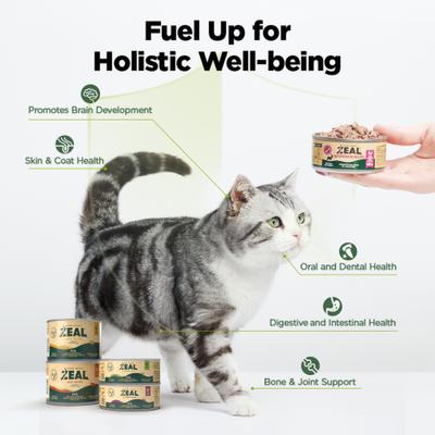 Beef Recipe High Protein Grain-Free Wet Cat Food, 3.17-oz can, case of 24