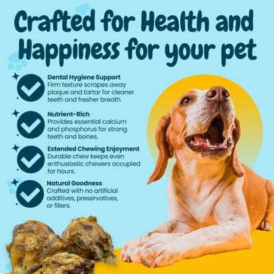 Meaty Beef Knee Cap Bones Dog Chew Treats, Large, 3 count