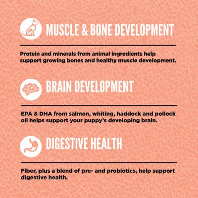 Grain-Free High-Protein Small Breed Puppy Dry Dog Food, 4-lb bag