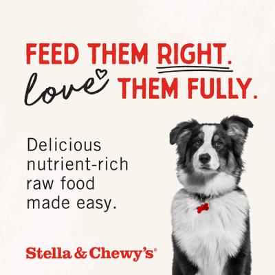 Stella & Chewy's, Raw Blend Kibble Grain-Free para perros, varios sabores, 1.59 / 4.54 / 9.98 kg
