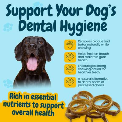 4 to 5-in Beef Bully Rings Dog Treats, Large, 12 count