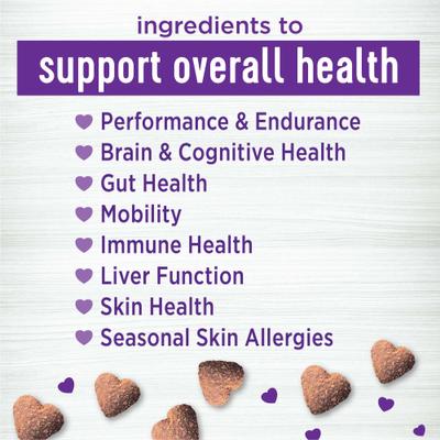 Peanut Butter & Apple Flavored Soft Chews Multi-Benefit Supplements for Dogs, 45 count