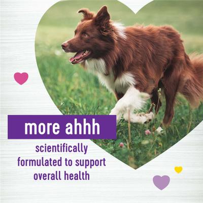 Peanut Butter & Apple Flavored Soft Chews Multi-Benefit Supplements for Dogs, 45 count