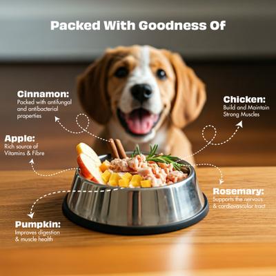 Nature's Feast Chicken with Pumpkin & Apple Grain-Free All Natural Freeze-Dried, Dog Training Treat, 1.76-oz canister