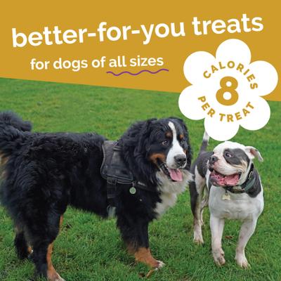 Premios para perros con sabor a pollo y arándanos, bolsa de 20 oz