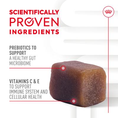 Suplemento masticable suave para cachorros que mejora la inmunidad y la digestión, 60 unidades, paquete de 4