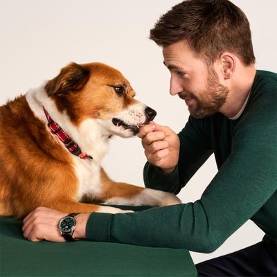 Salmon Tenders Jerky Dog Treats, 5-oz bag, 4 count