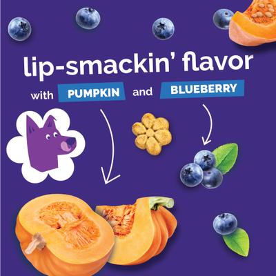 Pumpkin & Blueberry Flavor Dog Treats, 20-oz bag