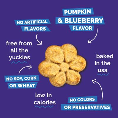 Pumpkin & Blueberry Flavor Dog Treats, 20-oz bag