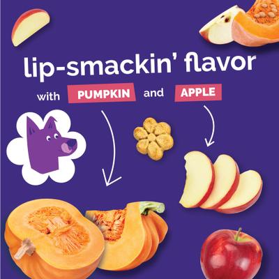 Pumpkin & Apple Flavor Dog Treats, 12-oz bag, bundle of 2