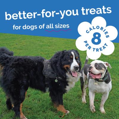 Pumpkin & Blueberry Flavor Dog Treats, 20-oz bag