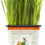 Live Grass Cat Treat, 3 count