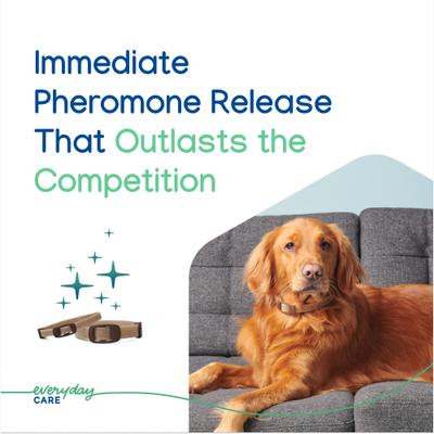 Zenidog Long-Acting Calming Collar for Dogs, Medium/Large: up to 29.5-in neck