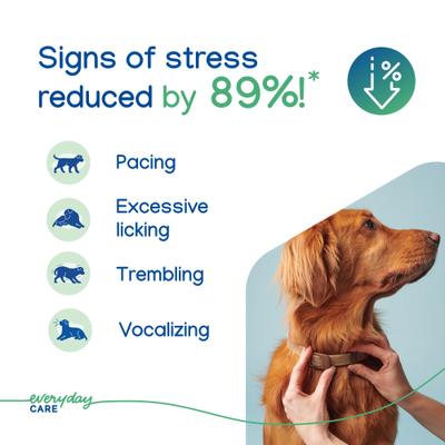 Zenidog Long-Acting Calming Collar for Dogs, Medium/Large: up to 29.5-in neck