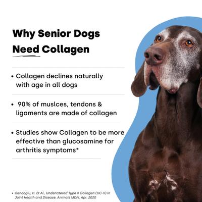 Collagen Puptides Liver Flavored Powder Joint Supplement for Senior Dogs, 90 count jar