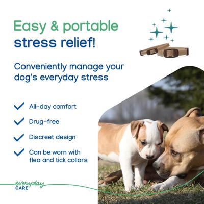 Zenidog Long-Acting Calming Collar for Dogs, Medium/Large: up to 29.5-in neck