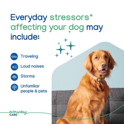 Zenidog Long-Acting Calming Collar for Dogs, Medium/Large: up to 29.5-in neck