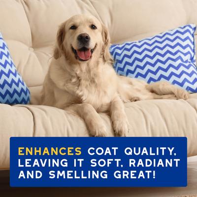 Skin & Coat SPA UltraSafe Oatmeal Dog Shampoo, 16-fl oz bottle