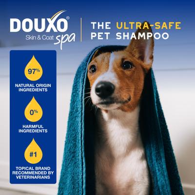 Skin & Coat SPA UltraSafe Oatmeal Dog Shampoo, 16-fl oz bottle