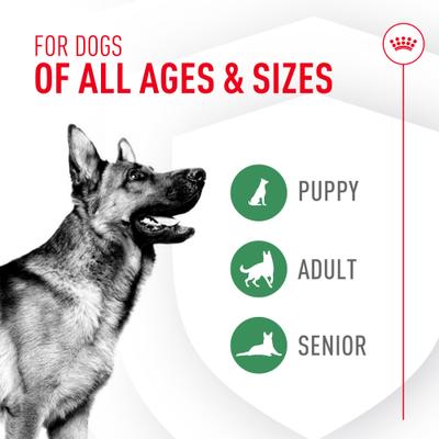 Suplemento en polvo de probióticos para la salud digestiva e inmunitaria de perros, 30 unidades