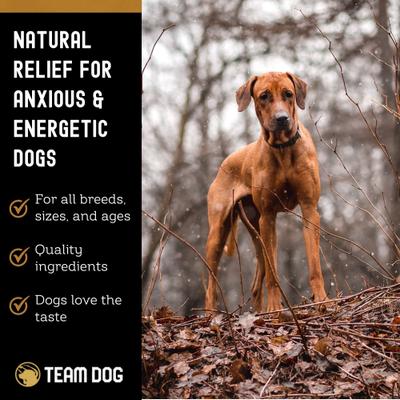 Soft Chew Calming Supplement for Dogs, 120 count