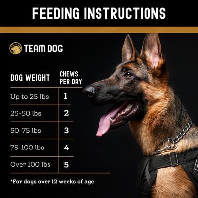 Soft Chew Calming Supplement for Dogs, 120 count