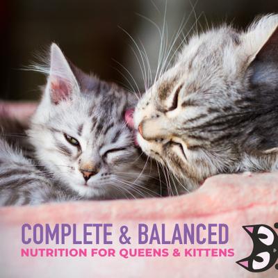 Baby Weaning Puree Chicken Grain-Free Pate Wet Cat Food, 6-oz pouch, case of 6