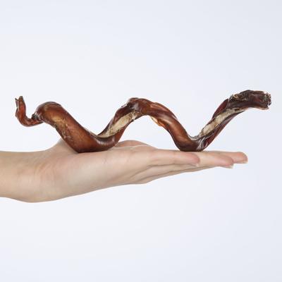 Made in USA Curly Bully Stick 6-9" Dog Chew Treats, 3 count