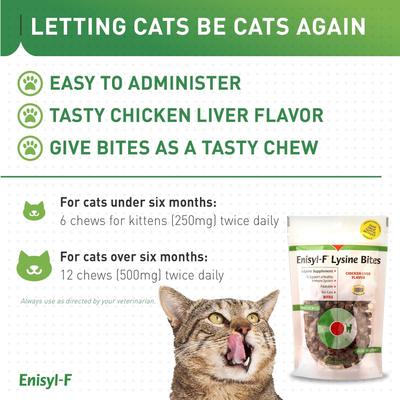 Enisyl-F Lysine Bites Chicken & Liver Flavored Immune Supplement for Cats, 6.35-oz bag