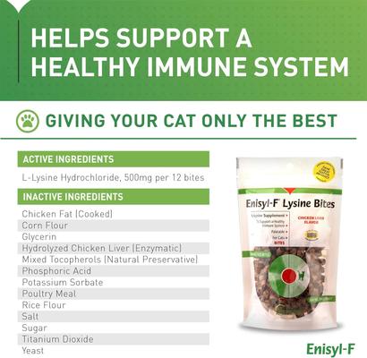 Enisyl-F Lysine Bites Chicken & Liver Flavored Immune Supplement for Cats, 6.35-oz bag