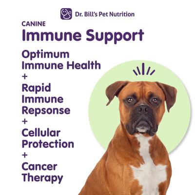 Canine Immune Support Dog Supplement Powder, 180-gm pouch