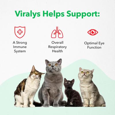 Viralys Gel Immune Supplement for Cats, 5-fl oz