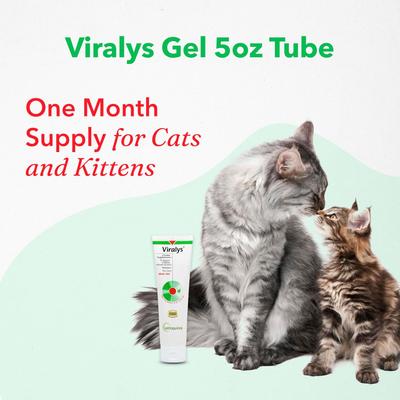 Viralys Gel Immune Supplement for Cats, 5-fl oz