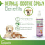 Dermal-Soothe Anti-Itch Spray for Dogs & Cats, 12-fl oz bottle