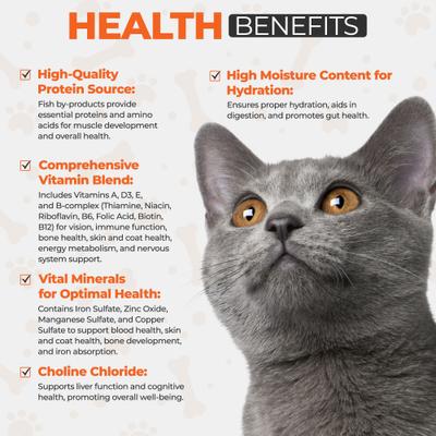 Chef Scoochies Recipe with Real Seafood Chunks in Savory Gravy Wet Cat Food, 14-oz can, case of 12