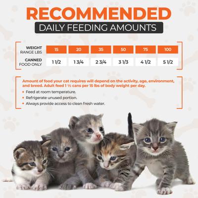 Chef Scoochies Recipe with Real Chicken Chunks in Savory Gravy Wet Cat Food, 14-oz can, case of 12