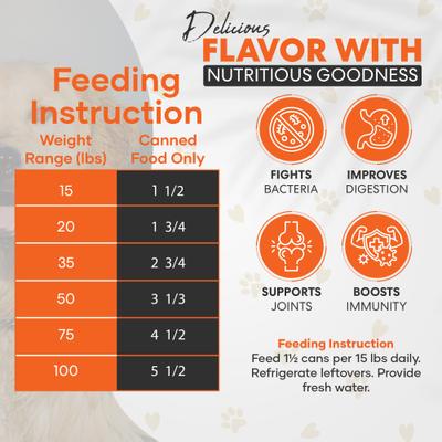 Chef Scoochies Recipe with Real Chicken in Savory Gravy Wet Dog Food, 14-oz can, case of 12