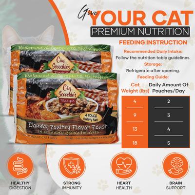 Chef Scoochies Recipe Variety Pack with Real Chunky Poultry in Savory Gravy Wet Cat Food Pouch, 12-oz, case of 12