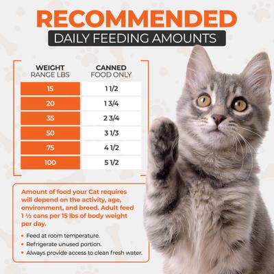 Chef Scoochies Recipe with Real Seafood Chunks in Savory Gravy Wet Cat Food, 14-oz can, case of 12