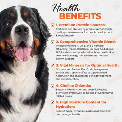 Chef Scoochies Recipe with Real Duck & Chicken in Savory Gravy Wet Dog Food, 14-oz can, case of 12