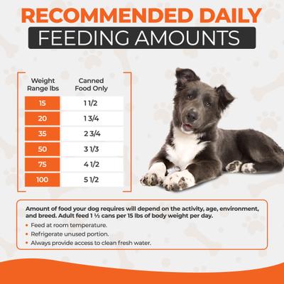 Chef Scoochies Recipe with Real Duck & Chicken in Savory Gravy Wet Dog Food, 14-oz can, case of 12