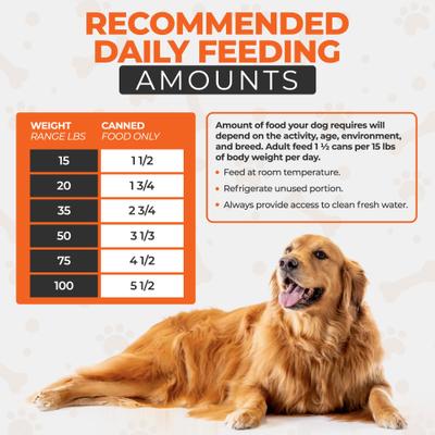 Chef Scoochies Recipe Variety Pack Real Chicken & Duck in Savory Gravy Wet Dog Food, 14-oz can, case of 6