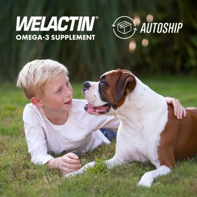 Welactin Daily Omega-3 Soft Chews Skin & Coat Supplement for Dogs, 60 count