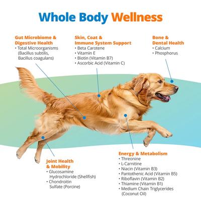 Peanut Butter Flavored Multivitamin for Dogs, 90-count