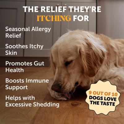 Allergy Skin Health Salmon Flavored Allergy & Itch Relief, Omega-3 Supplement for Dogs, 90 count