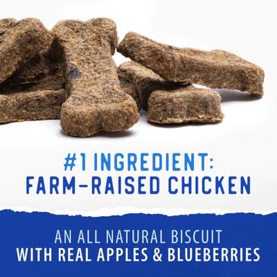 Dodo Chicken with Apple & Blueberry Crunchy Dog Treats, 19.5-oz bag