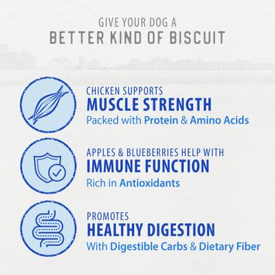 Dodo Chicken with Apple & Blueberry Crunchy Dog Treats, 19.5-oz bag